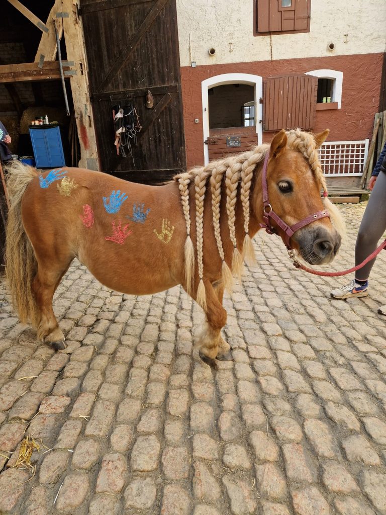 Wir besuchten mit dem Sonnentreff das Pony Zafira